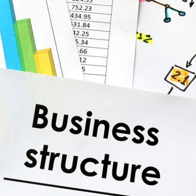 1.4.4 Business Structure Comparison