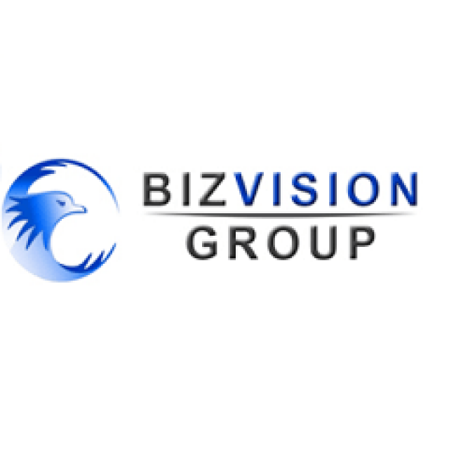 Biz Vision – Corporate Services Review
