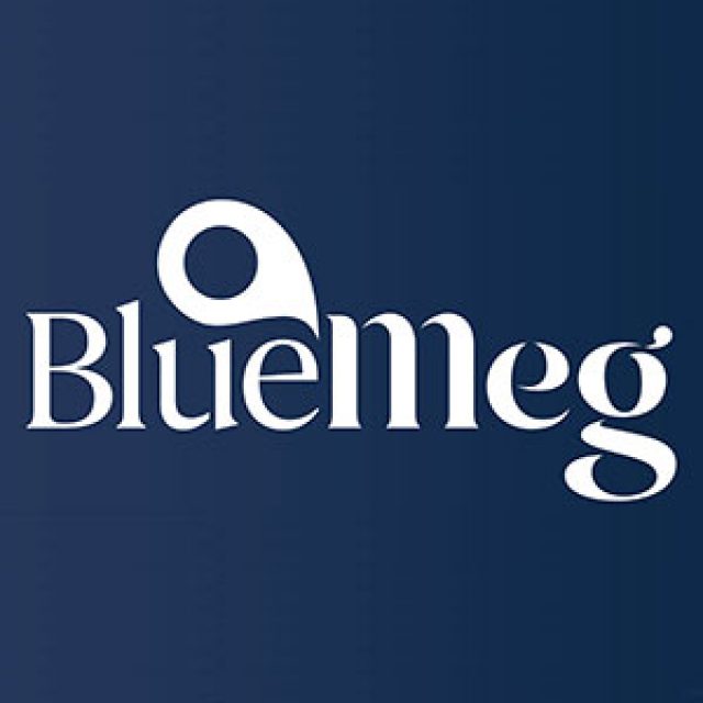 BlueMeg – Corporate Services Review