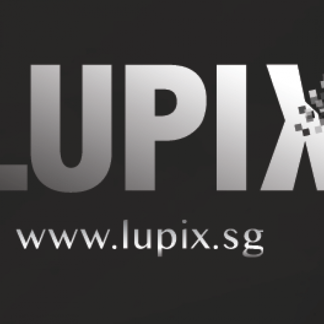 LuPiX – Corporate Services Review