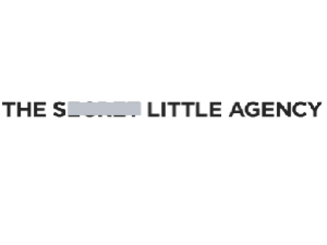 The Secret Little Agency – Corporate Services Review