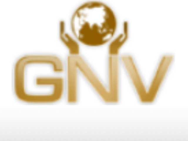 GNV Consultancy – Corporate Services Review