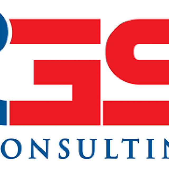 IGS Consulting – Corporate Services Review